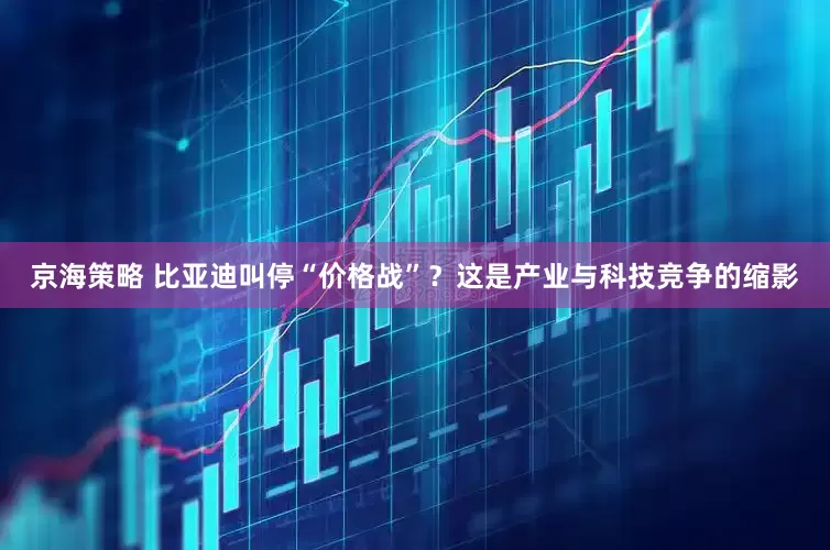 京海策略 比亚迪叫停“价格战”？这是产业与科技竞争的缩影