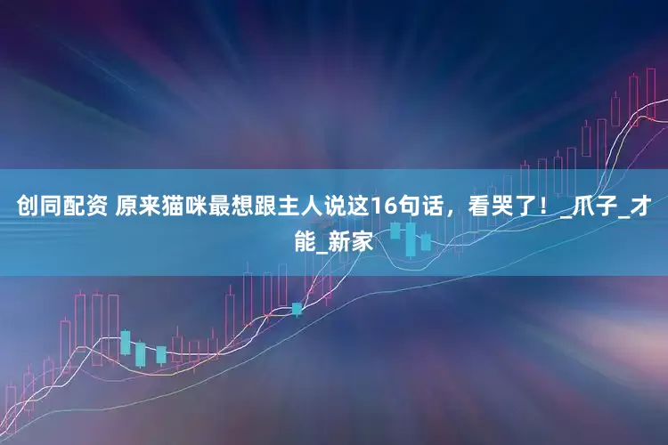 创同配资 原来猫咪最想跟主人说这16句话，看哭了！_爪子_才能_新家
