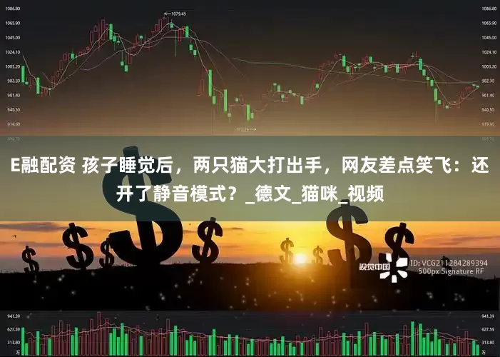 E融配资 孩子睡觉后，两只猫大打出手，网友差点笑飞：还开了静音模式？_德文_猫咪_视频