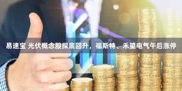 易速宝 光伏概念股探底回升，福斯特、禾望电气午后涨停