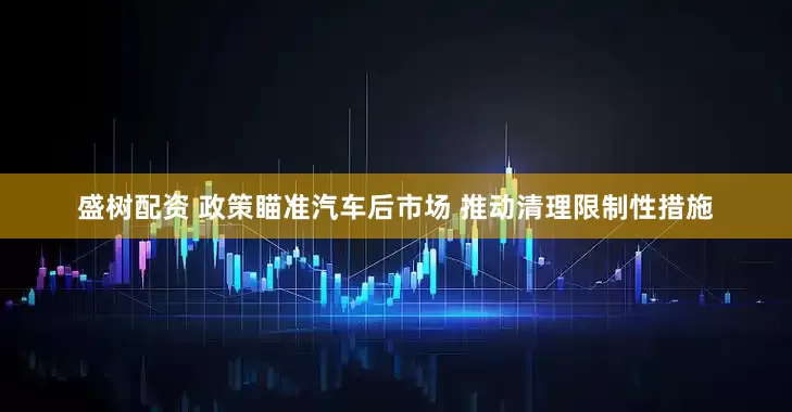 盛树配资 政策瞄准汽车后市场 推动清理限制性措施